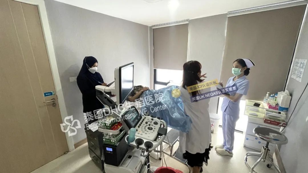 泰國杰出的輔助生殖領域權威、“移植圣手”——努查妲醫生