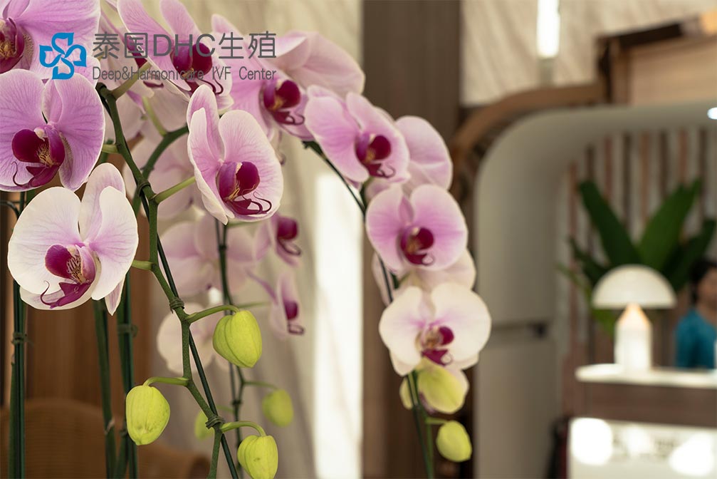 常德試管和省婦幼試管哪個好？全面對比分析