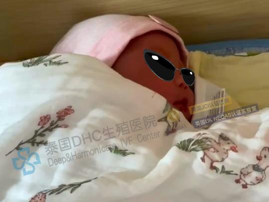 試管嬰兒的第一次B超：我們到底在看什么？