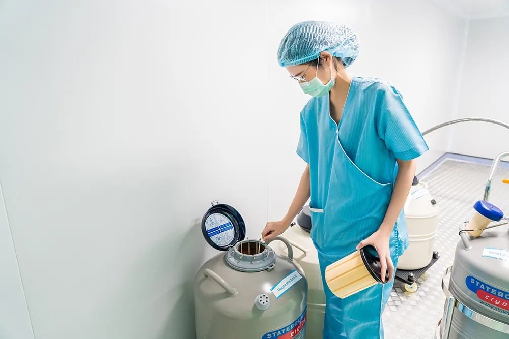 胚胎冷凍技術：泰國DHC生殖醫院為生命按下「暫停鍵」的科學密碼