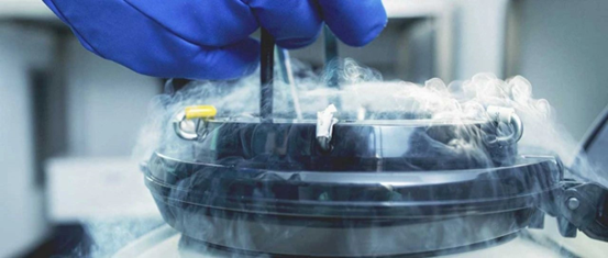 冷凍胚胎 冷凍胚胎