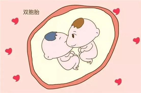 做泰國試管嬰兒雙胞胎的風險大嗎?