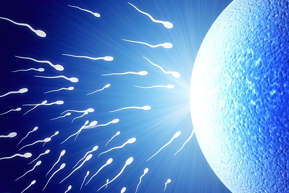 對(duì)于冷凍胚胎移植技術(shù) 您有顧慮嗎？