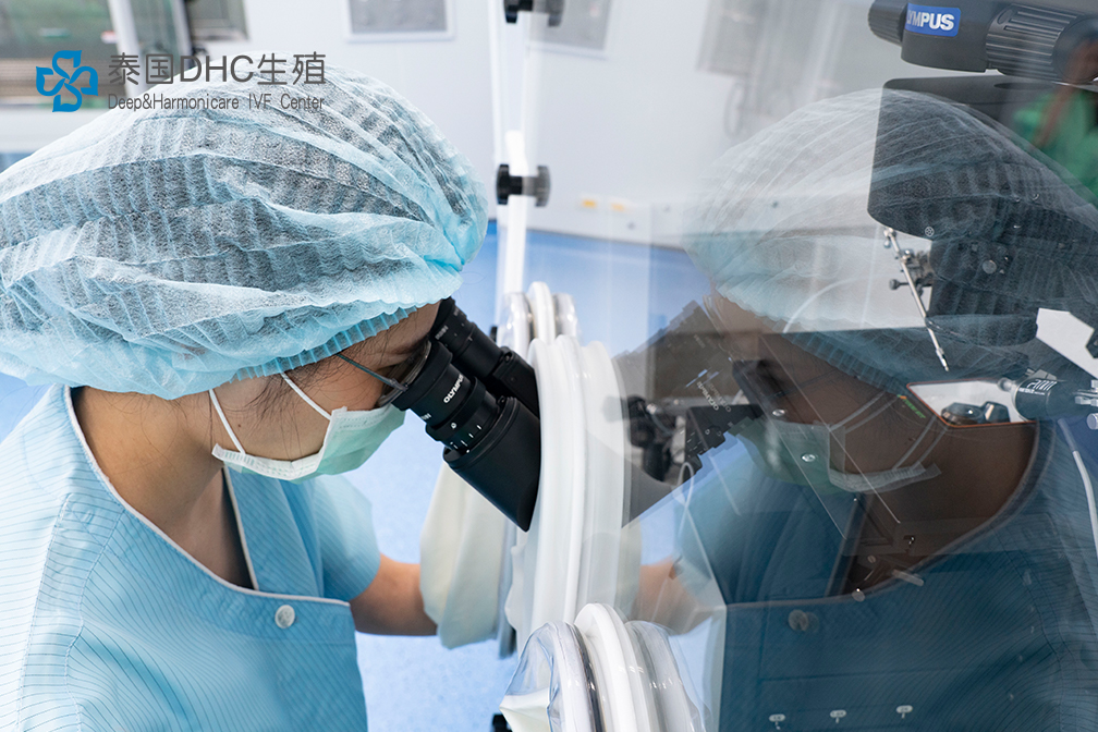 泰國試管嬰兒前期身體檢查對成功率有哪些影響？