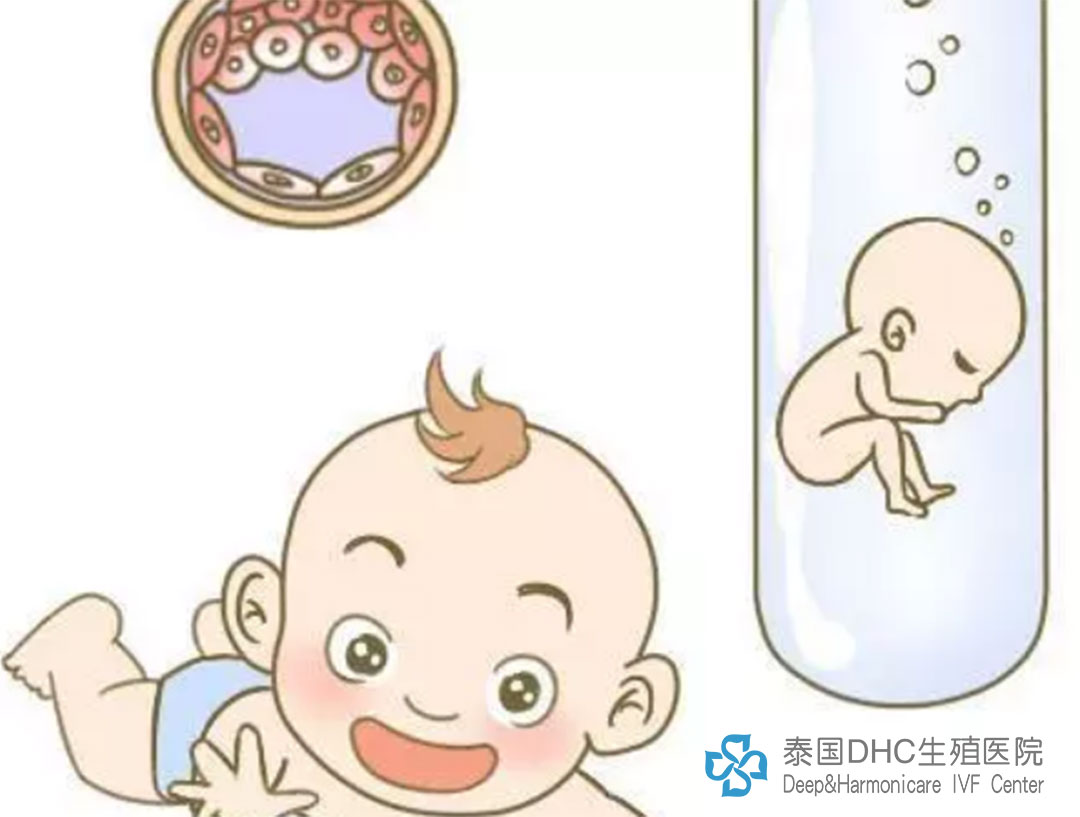 泰國DHC：去泰國做試管，打破難孕的命運