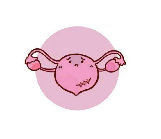 62d6c6fc20ed74ff7c4a875f061a4284 62d6c6fc20ed74ff7c4a875f061a4284