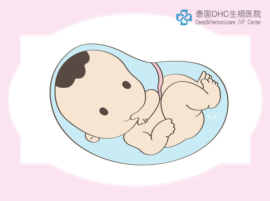 配圖(79).jpg 配圖(79).jpg