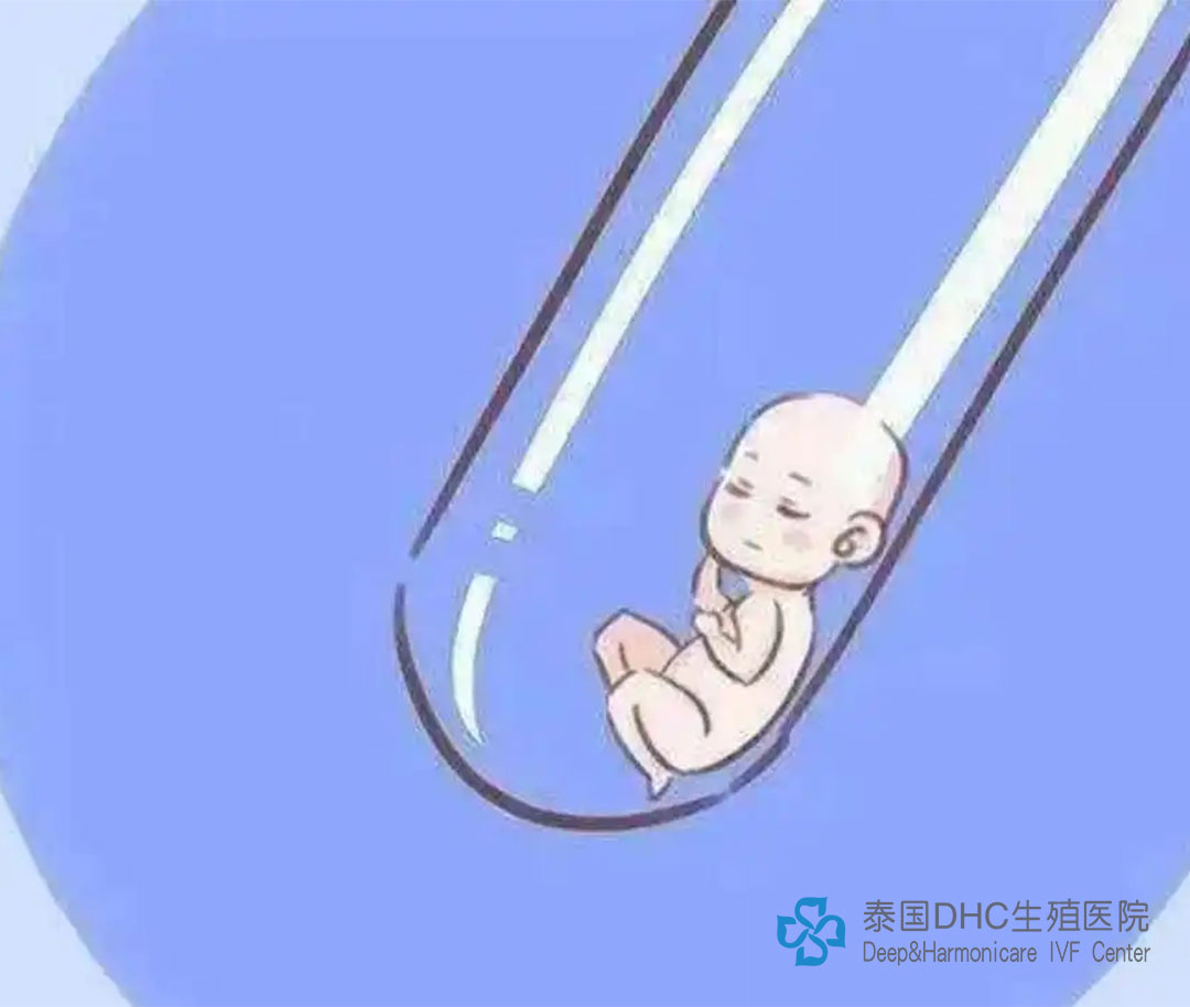 配圖 (95) 配圖 (95)