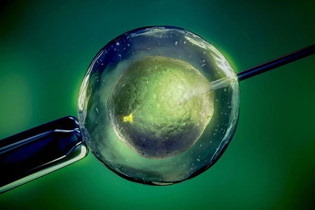 人工授精 人工授精