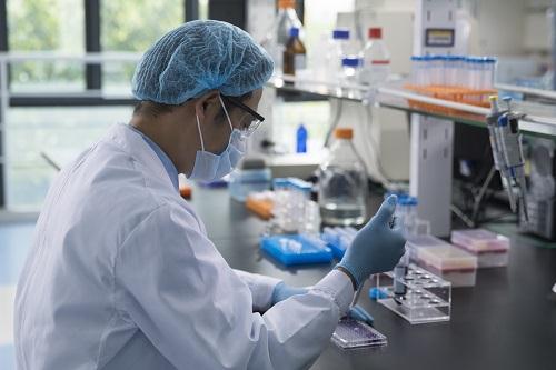 親子鑒定多少錢一次2024年？正規親子鑒定收費標準