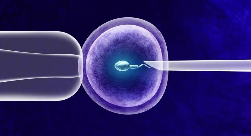 試管嬰兒一次可以移植幾枚胚胎？試管嬰兒一次移植幾個胚胎合適