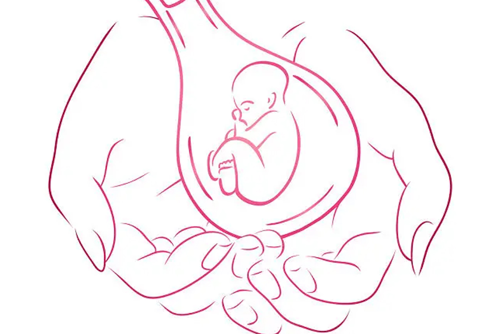 手中的寶貝 手中的寶貝