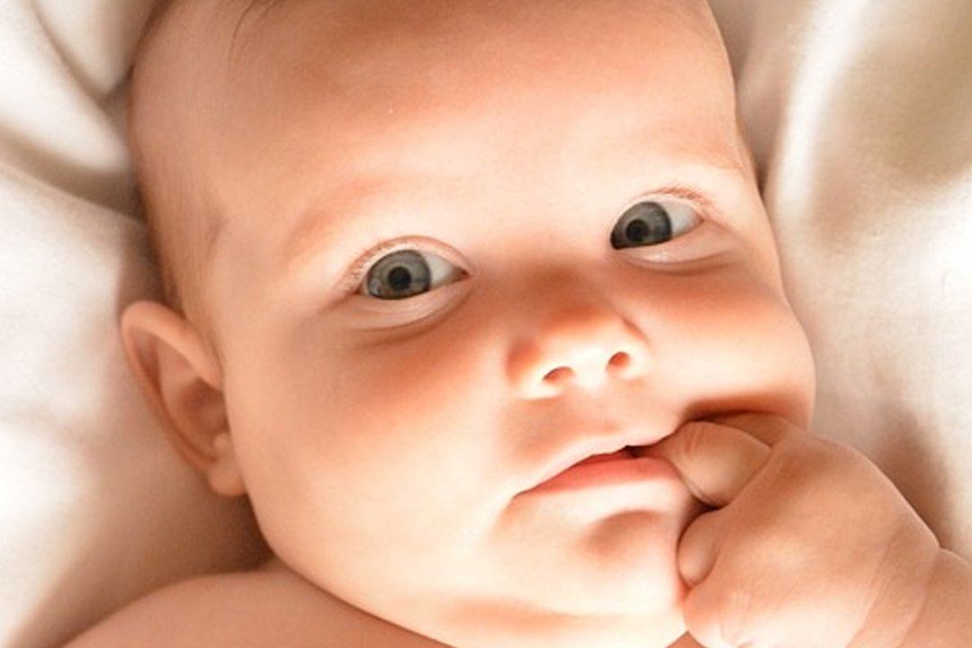 試管寶寶 試管寶寶