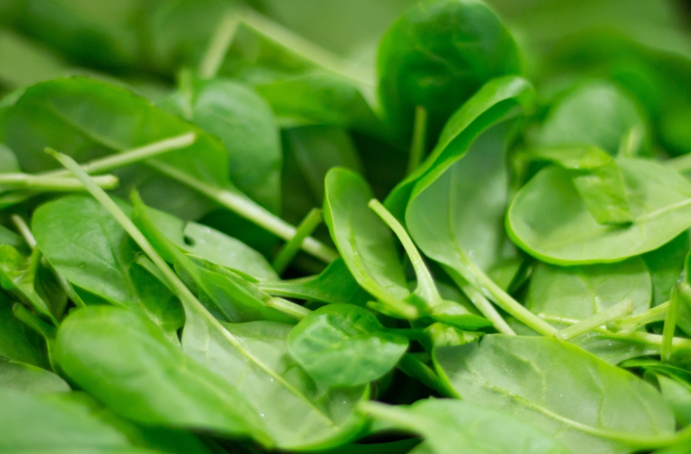 AMH值低吃什么補得快？AMH值低吃什么食物提高