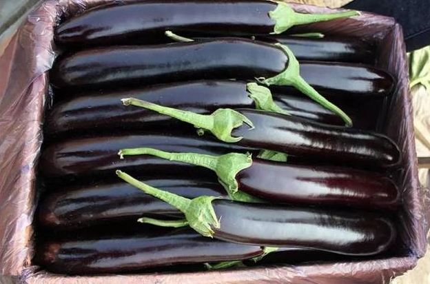 孕婦不能吃的蔬菜有哪些？孕婦禁忌蔬菜一覽表