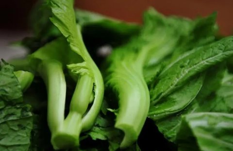 芥菜哪些人不能吃？芥菜的禁忌和最佳搭配