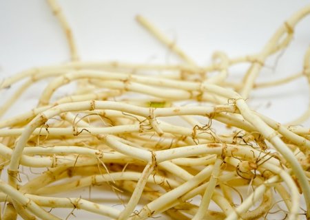 魚腥草哪些人群不宜吃？魚腥草不能和什么一起吃？