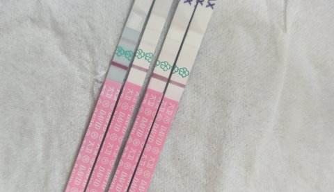 排卵試紙強陽是排卵了還是沒排？排卵試紙強陽后多久排卵？