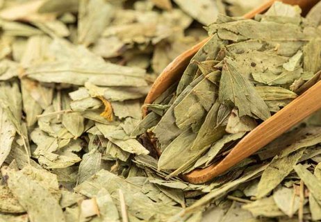 番瀉葉減肥有效果嗎？番瀉葉減肥的正確服用方法