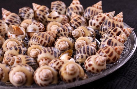 花螺要煮多久才熟？是冷水還是熱水？