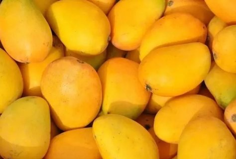 小臺(tái)芒吃了有什么好處？小臺(tái)芒的功效與作用