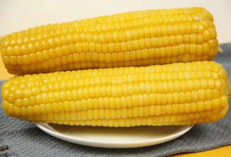 玉米算碳水嗎？玉米的性質(zhì)和功效