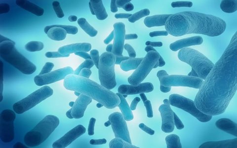 哪些人不能吃益生菌？六種人不宜吃益生菌