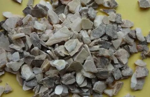 石決明怎么吃才有效？石決明的功效與作用