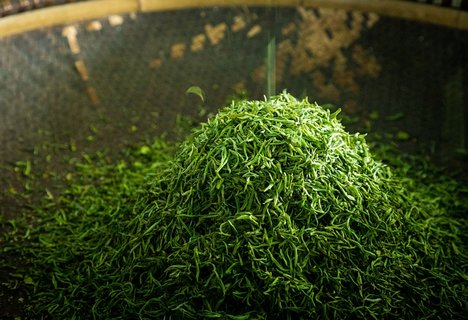 經常喝綠茶會怎么樣？長期喝綠茶的好處與功效