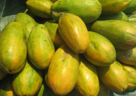 孕婦能吃木瓜嗎？孕婦吃木瓜的正確方法