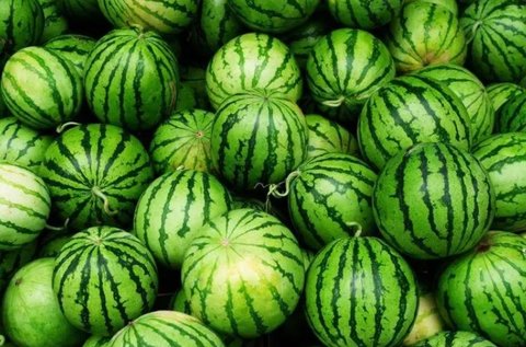 西瓜是堿性還是酸性食物？西瓜的食物性質有哪些？