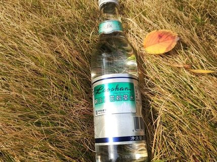 嶗山白花蛇草水怎么喝才好喝？嶗山白花蛇草水的主要功效