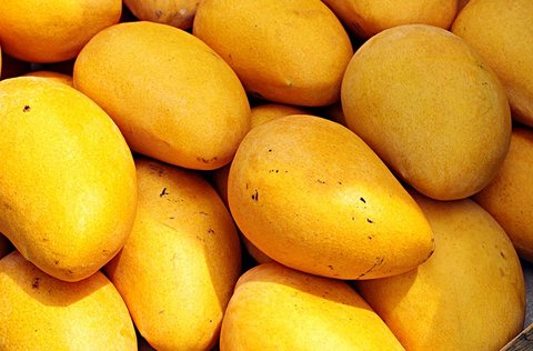 芒果含有哪些維生素？芒果的營養價值及功效與禁忌