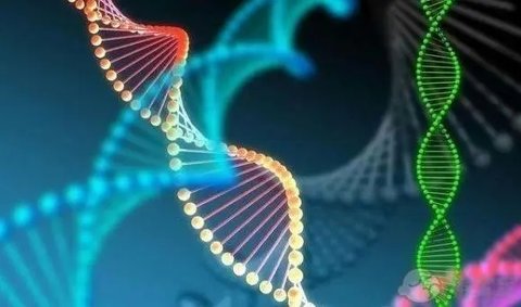 tuBB8基因突變能否懷孕？TUBB8突變是不是就不能懷孕了？