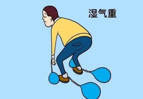 濕氣重代謝慢肥胖怎么調(diào)理？濕氣重怎么減肥效果最好？