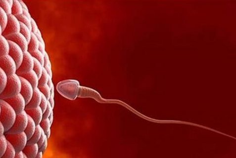 無(wú)精癥能不能做試管嬰兒？無(wú)精癥怎么做試管嬰兒？