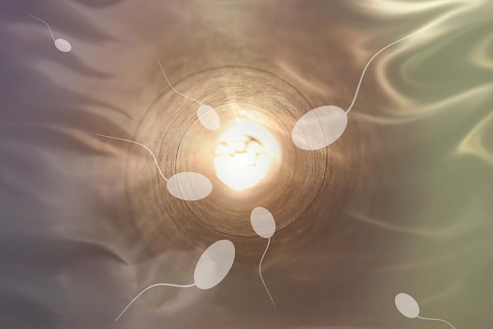 試管一批胚胎性別都一樣嗎？試管胚胎性別是什么時候決定的？