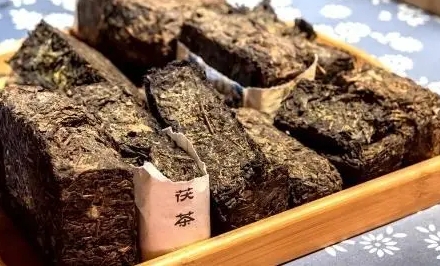涇陽茯茶有什么功效？涇陽茯茶的功效與作用