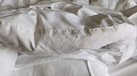 用發霉了的被子會怎么樣？被子發霉睡了會得啥病？