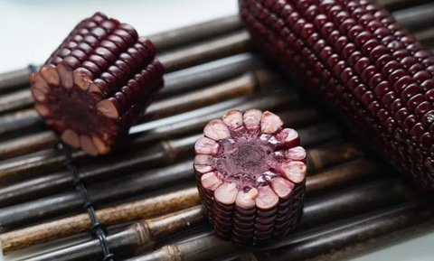 紫玉米有什么特別之處？紫玉米的營養價值和功效