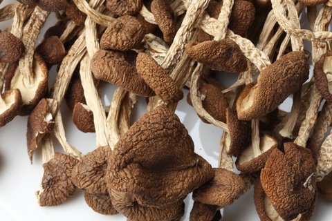 茶樹菇相克的食物有哪些？和茶樹菇相克的食物