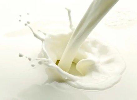 把純牛奶當水喝會怎樣？牛奶當水喝有什么壞處？