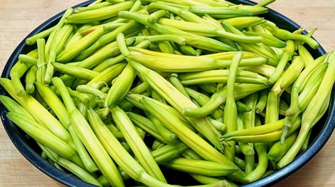 新鮮黃花菜怎么處理才能吃？新鮮黃花菜的處理方法和做法