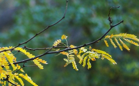 一年中什么時候做試管比較好？一年中做試管的最佳時間