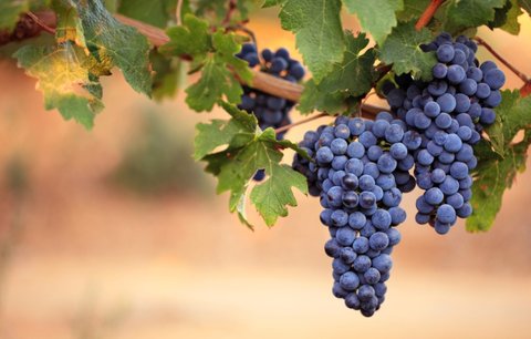 青光眼不能吃什么水果？青光眼不能吃的水果