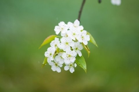 寸止是不是對身體不好？寸止對前列腺的危害