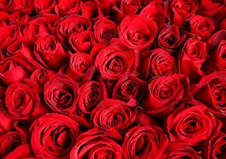 鮮花干燥劑對人體有害嗎？鮮花干燥劑對人體的危害