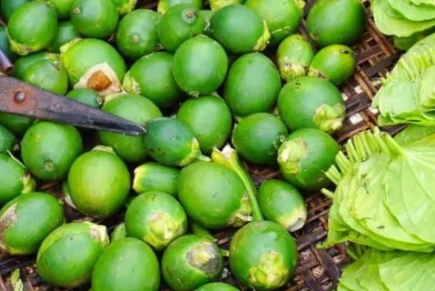 吃檳榔口腔潰瘍咋辦？解決吃檳榔口腔潰瘍的方法