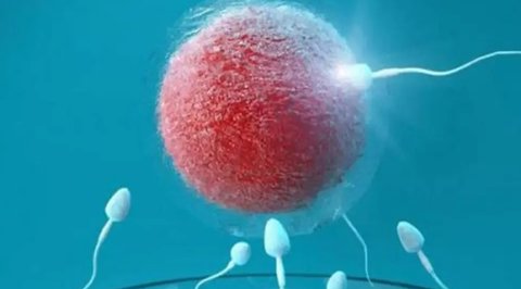 想要凍卵需要多少錢？?jī)雎研枰ǘ嗌馘X？