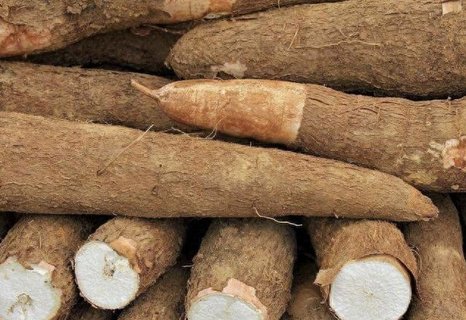 木薯怎么煮才沒有毒？新鮮木薯的正確吃法